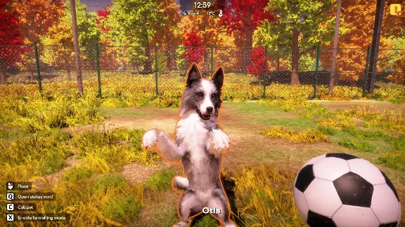 Animal Shelter 2 СТИМ Steam Gift