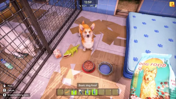 Animal Shelter 2 - Steam Gift