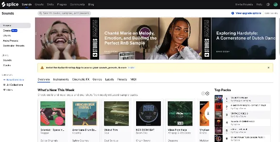 ✅ Splice Creator+ Subscription 500 credits for 1 month