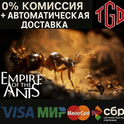 🔥 Empire of the Ants | Steam Russia 🔥