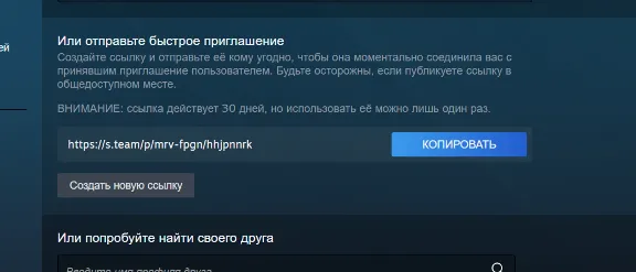 ✔️ Hollow Knight  RUSSIA AUTO