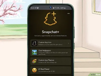 Snapchat+ Gift Subscription 3-12 Months — No Login Required
