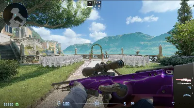 Phoenix CS2 (Inventory)