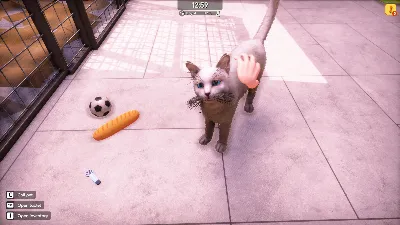 Animal Shelter 2 Выбор Региона Стим STEAM GIFT АВТО 24/7 ГАРАНТИЯ