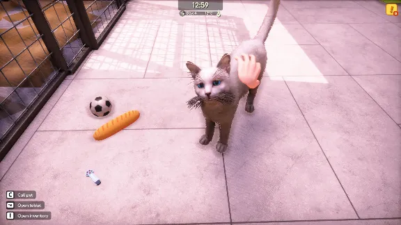 Animal Shelter 2 Выбор Региона Стим STEAM GIFT АВТО 24/7 ГАРАНТИЯ