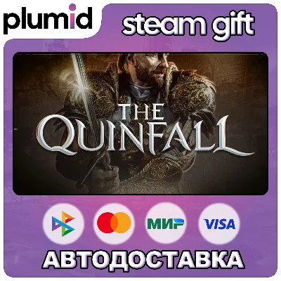 The Quinfall Steam Gift / Россия + МИР / АВТО