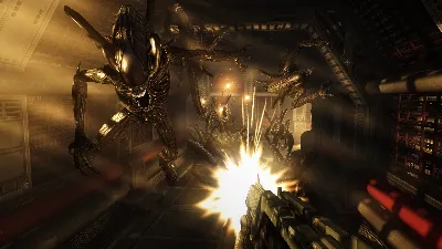 Aliens vs Predator / STEAM GIFT / Select Countries