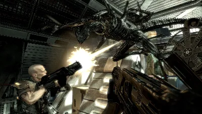 Aliens vs Predator / STEAM GIFT / Select Countries