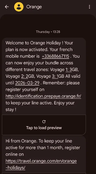 eSIM France phone number +33 SMS +3GB Internet in Russia and other countries 30 days