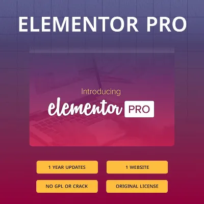 Elementor Pro 1 Year Plugin Official license