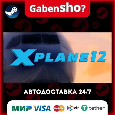 X-Plane 12 Steam Gift