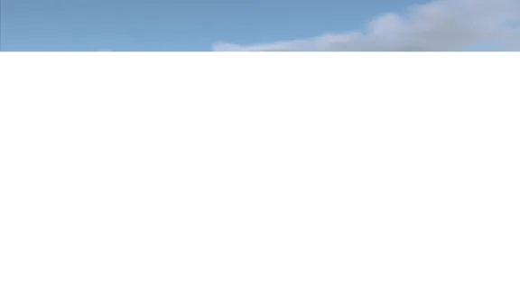 NavalArt СТИМ Steam Gift