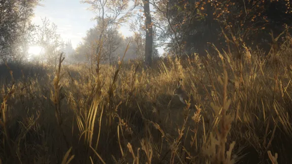 theHunter: Call of the Wild STEAM КЛЮЧ РФ+МИР / РУССКИЙ ЯЗЫК