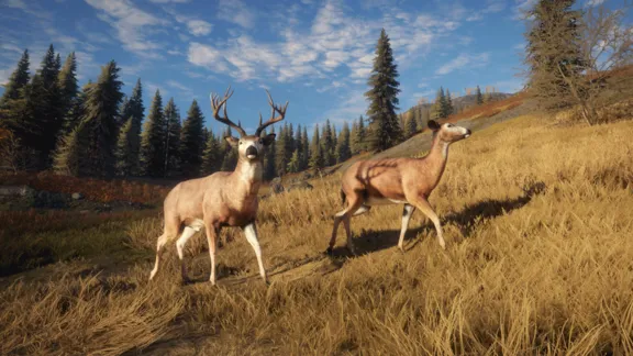 theHunter: Call of the Wild STEAM КЛЮЧ РФ+МИР / РУССКИЙ ЯЗЫК