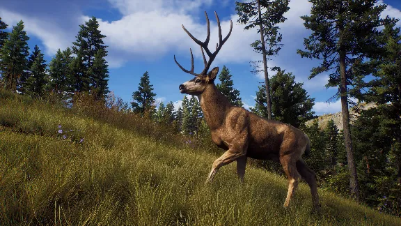 ✅❤️WAY OF THE HUNTER❤️XBOX|XS🔑KEY✅
