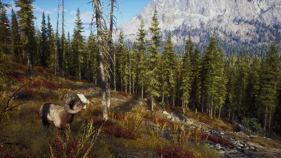 ✅❤️WAY OF THE HUNTER❤️XBOX|XS🔑KEY✅