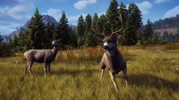 ✅❤️WAY OF THE HUNTER❤️XBOX|XS🔑KEY✅