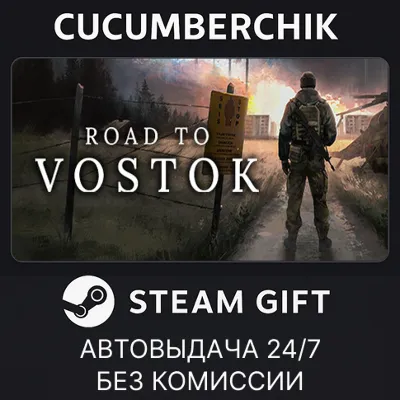 Road to Vostok✅STEAM GIFT AUTO✅RU+МИР