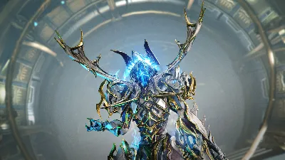 Warframe: Доступ Воруны Прайм — Набор аксессуаров DLC