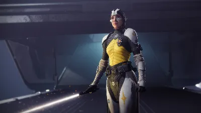 Destiny 2: Renegades (Steam ключ / РФ+СНГ)