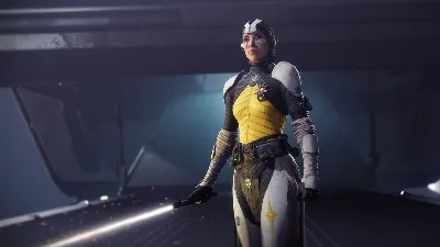 Destiny 2: Renegades 💎 STEAM Ключ | (СНГ+РФ) 🔑
