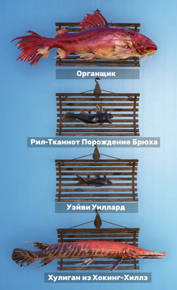 🐠 All fish for the display - 10 axolotls and 44 fish per display 🐟