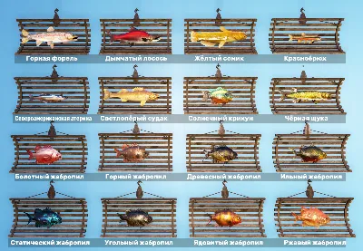 🐠 All fish for the display - 10 axolotls and 44 fish per display 🐟