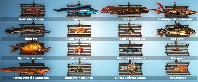 🐠 All fish for the display - 10 axolotls and 44 fish per display 🐟