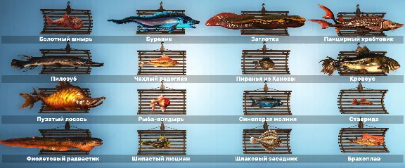 🐠 All fish for the display - 10 axolotls and 44 fish per display 🐟