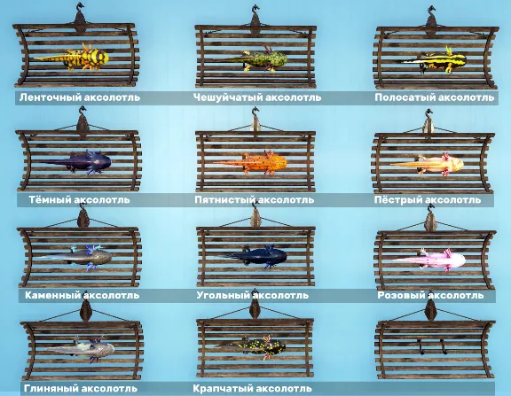 🐠 All fish for the display - 10 axolotls and 44 fish per display 🐟