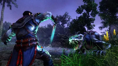 Risen 3 - Titan Lords СТИМ Steam Gift