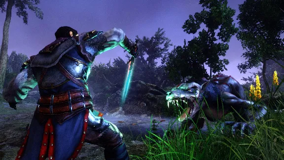 Risen 3 - Titan Lords СТИМ Steam Gift