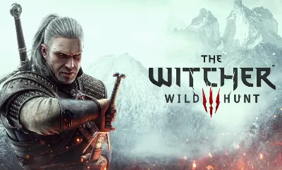 ✅The Witcher 3: Wild Hunt Steam✅