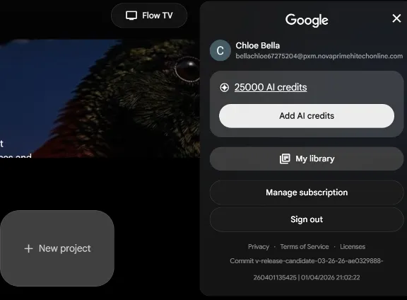Gemini Al Pro / Ultra | Antigravity + Flow 25.000 Credits - 1 Month