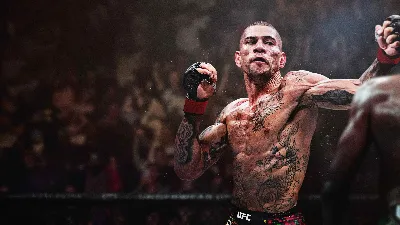 ✅❤️UFC® 6❤️XBOX SERIES X|S🔑КЛЮЧ✅