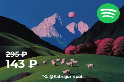 Spotify Premium — купить дёшево | без рекламы | на свой аккаунт | 1/3/6/12 мес