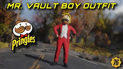 FALLOUT 76 ☢️【WAULT-BOY + OUTFIT】☢️RARE, UNIQUE SKIN • KEY • GLOBAL