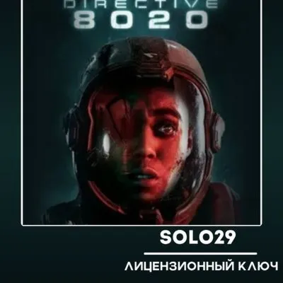 Directive 8020 Steam Ключ РФ+СНГ