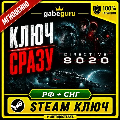 DIRECTIVE 8020 • БЕЗ КОМИССИИ • STEAM КЛЮЧ СРАЗУ