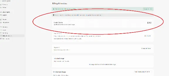 🔴Курсор AI PRO | Дополнительный кредит в размере 200 долларов США🔴личный кабинет