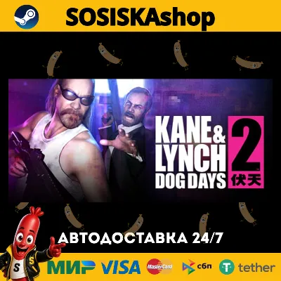 Kane & Lynch 2: Dog Days + SELECT REGION STEAM