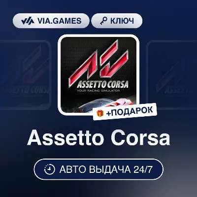 Assetto Corsa (Steam Ключ) РФ-СНГ-МИР (БЕЗ КИТАЯ) + ПОДАРОК