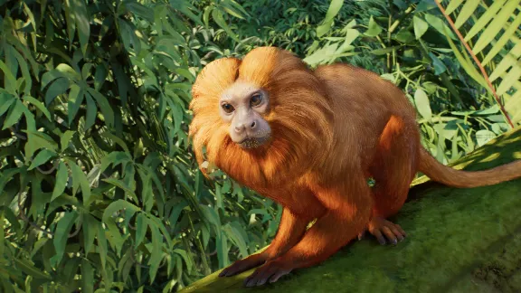 ✅❤️PLANET ZOO 2: DELUXE EDITION❤️XBOX|XS+PC WIN❤️ПРЕДЗАКАЗ С БОНУСАМИ✅