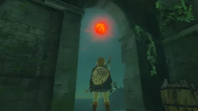 The Legend of Zelda: Tears of the Kingdom | Nintendo Switch 2