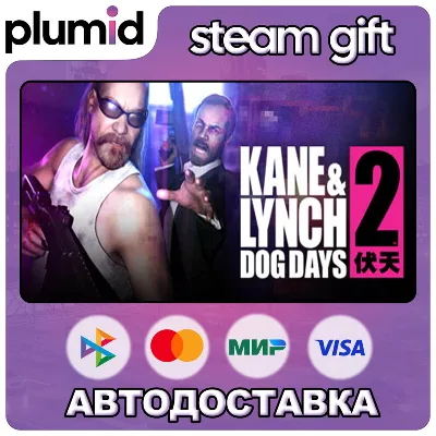 Kane and Lynch 2 - Dog Days Steam Gift / Россия + МИР / АВТО