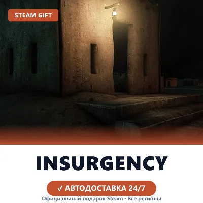 Insurgency (Steam Gift) · Russia and worldwide · Auto-delivery 24/7