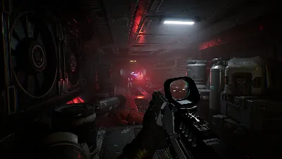 Species: Unknown (Steam Gift) · Russia and worldwide · Auto-delivery 24/7