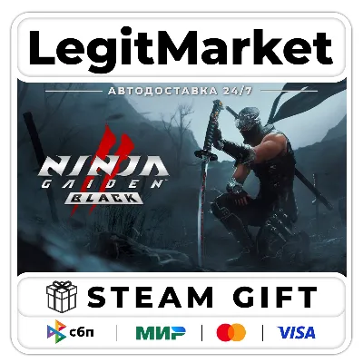 NINJA GAIDEN 2 Black / Steam AUTO / RU + WORLD