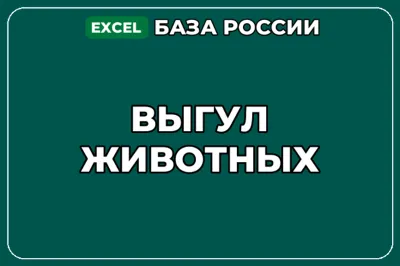 База компаний по теме Выгул животных в России