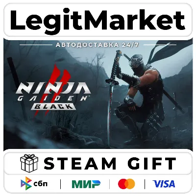 NINJA GAIDEN 2 Black / Steam AUTO / RU + WORLD